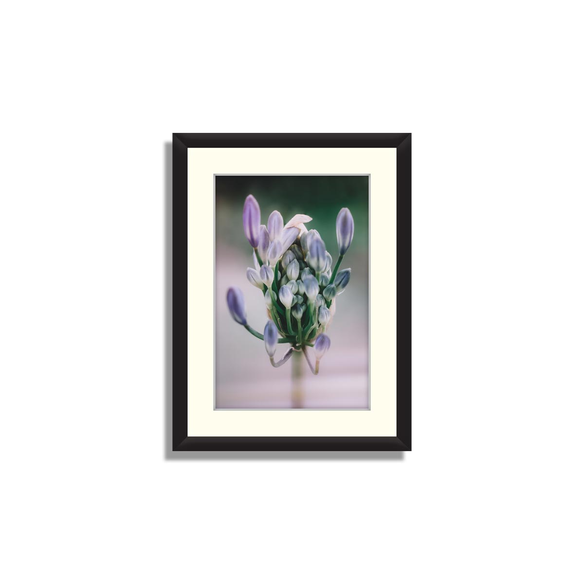 Set of 3 Floral Framed Art 09