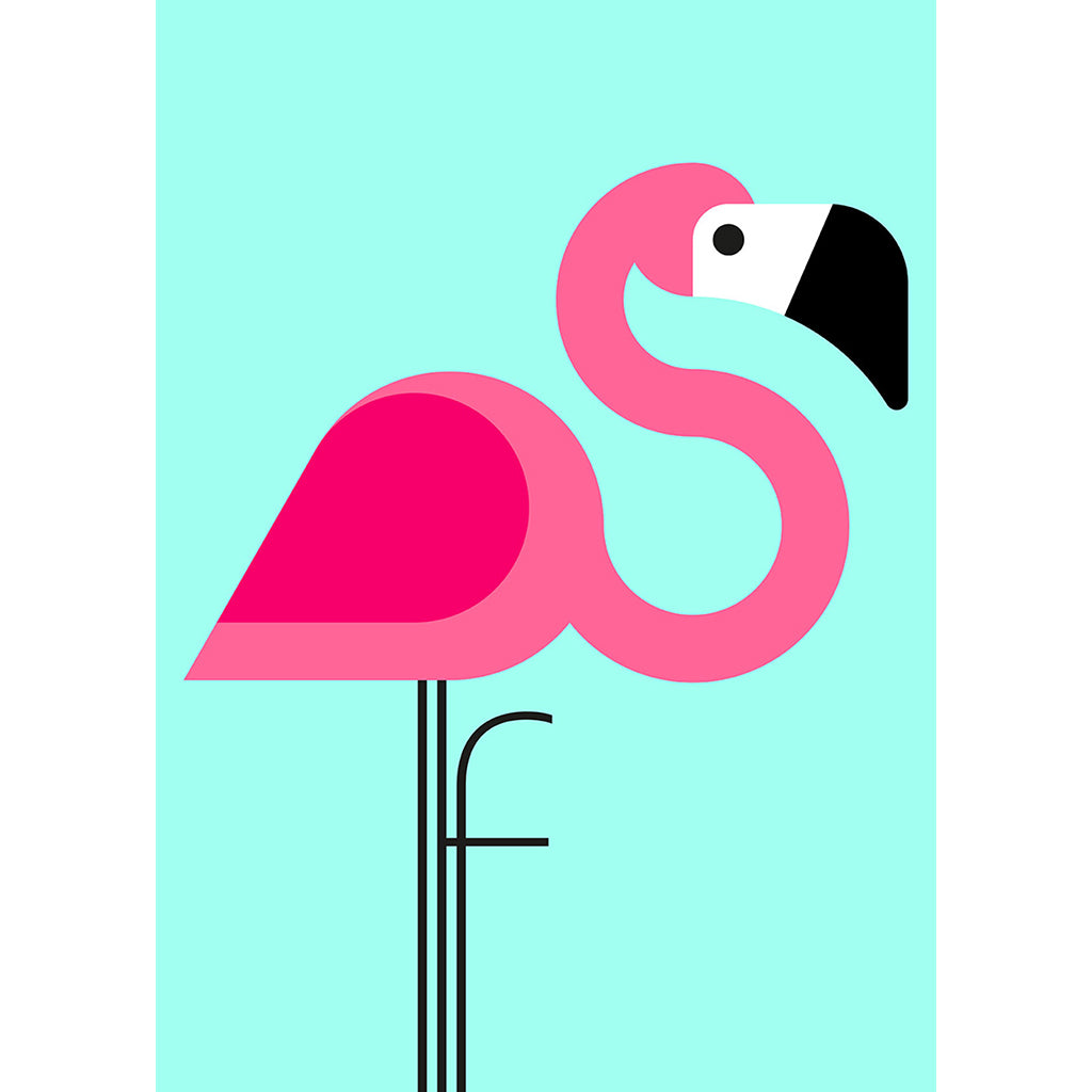 Flamingo