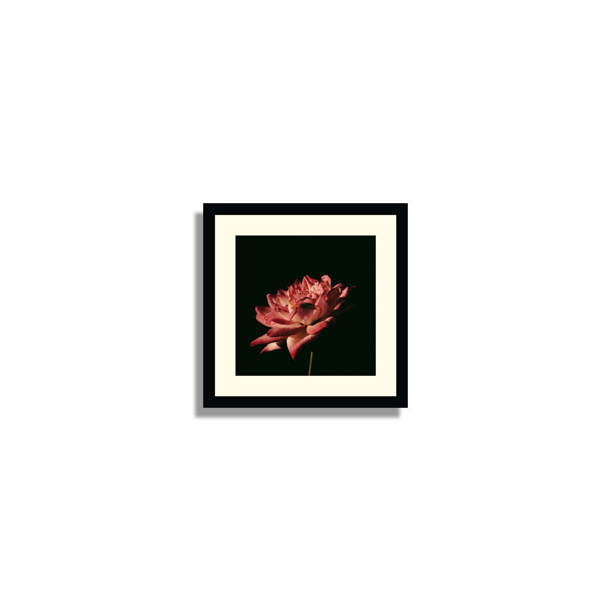 Set of 5 Floral Framed Art 01