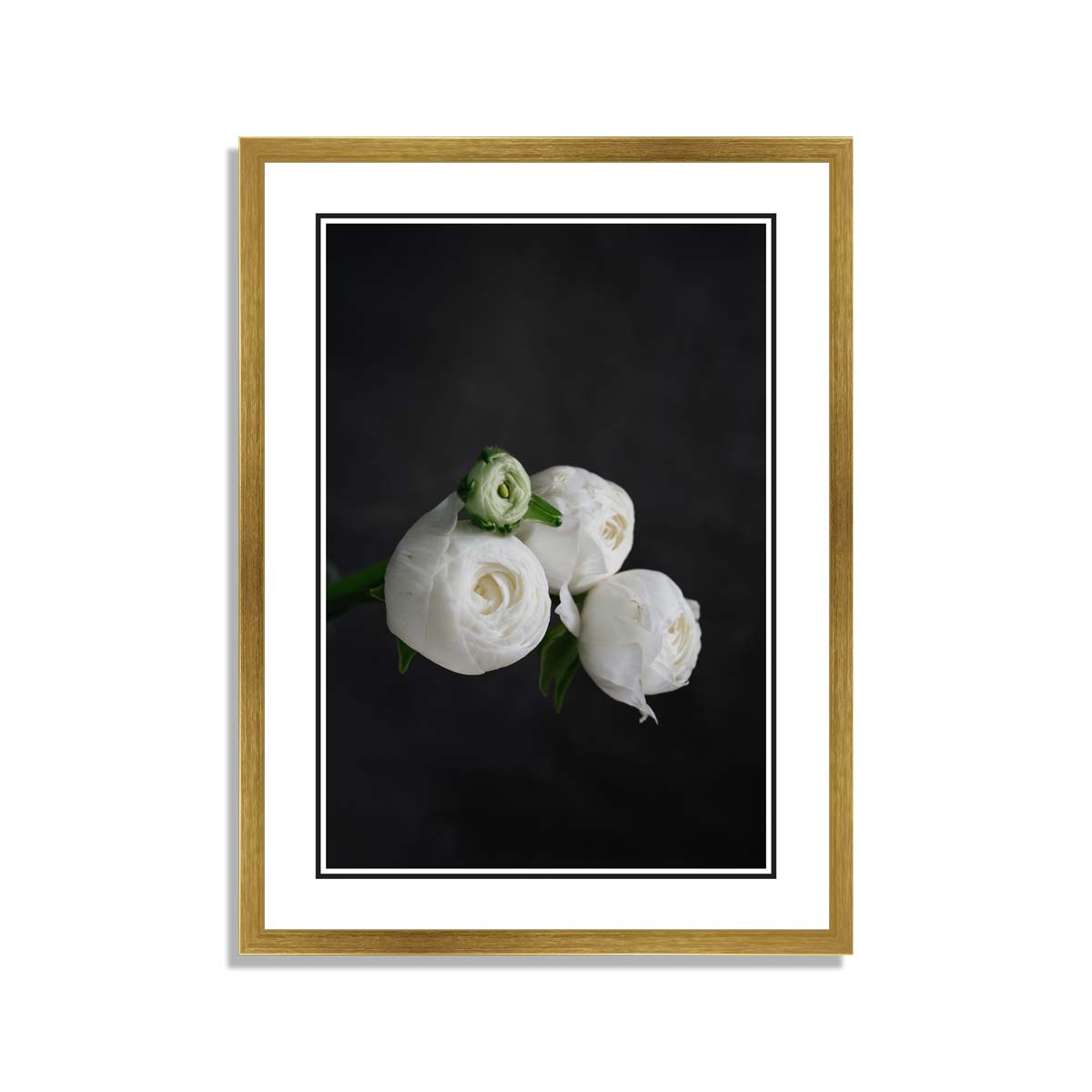 White & Green Flowers With Black Background