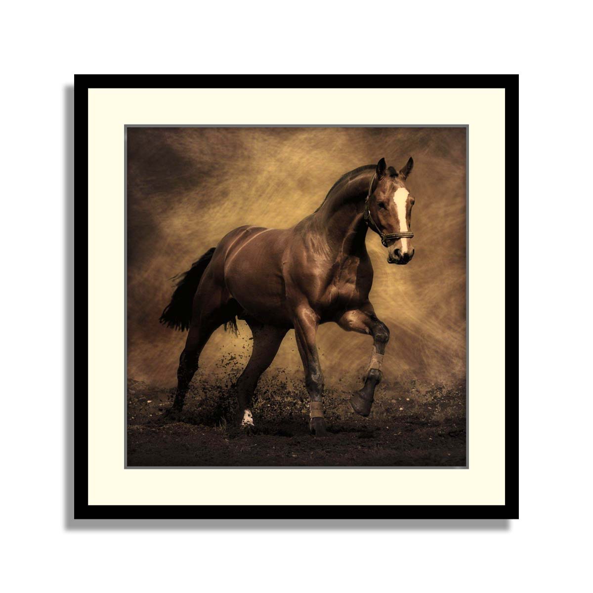 Set of 4 Horses Framed Art 01