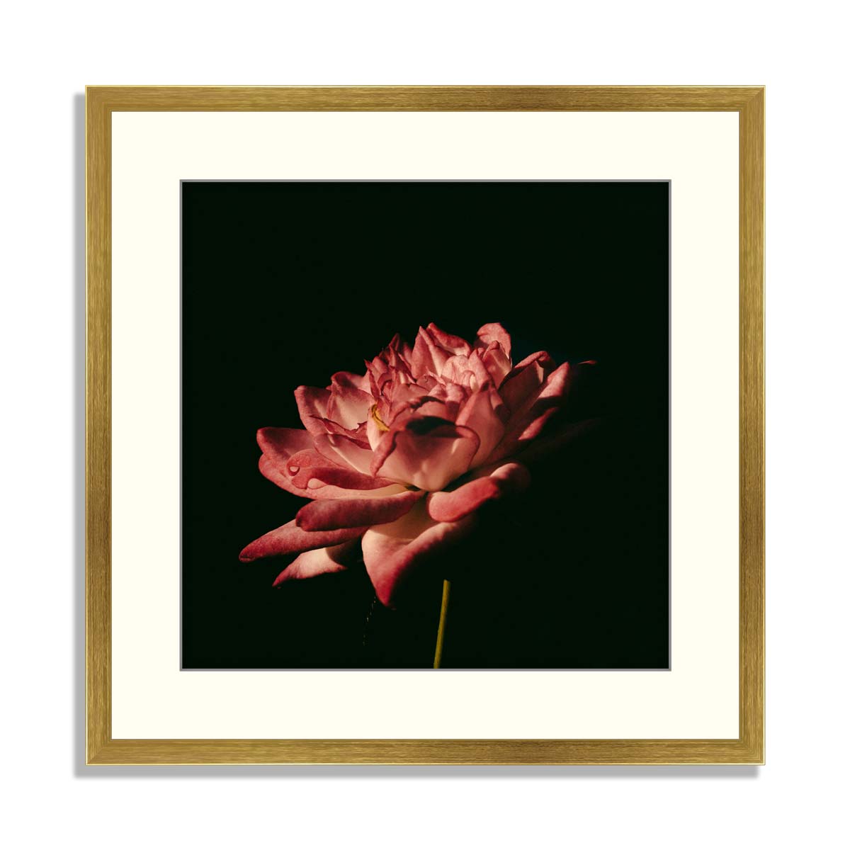 Set of 6 Floral Framed Art 04