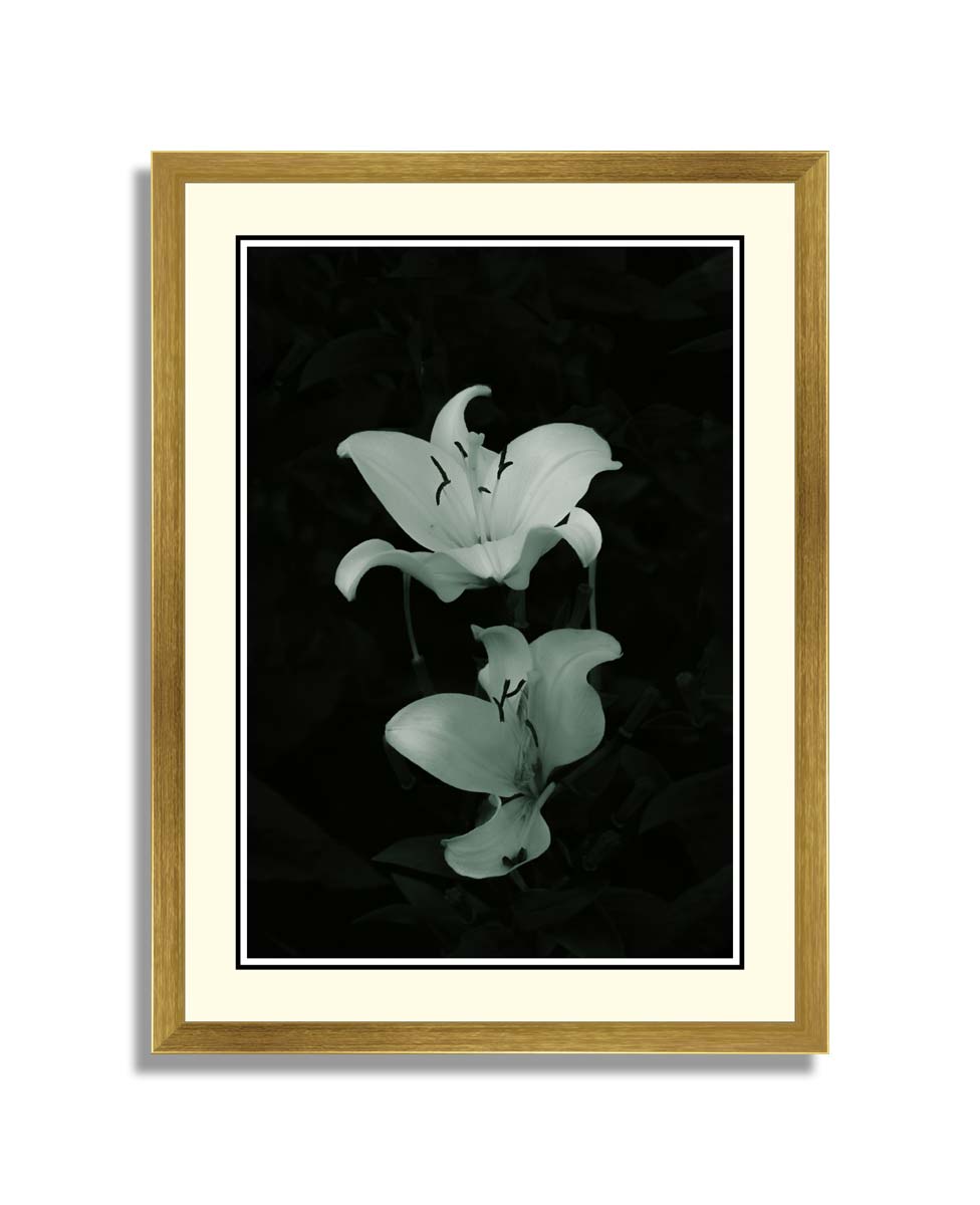 Set of 5 Floral wall art set