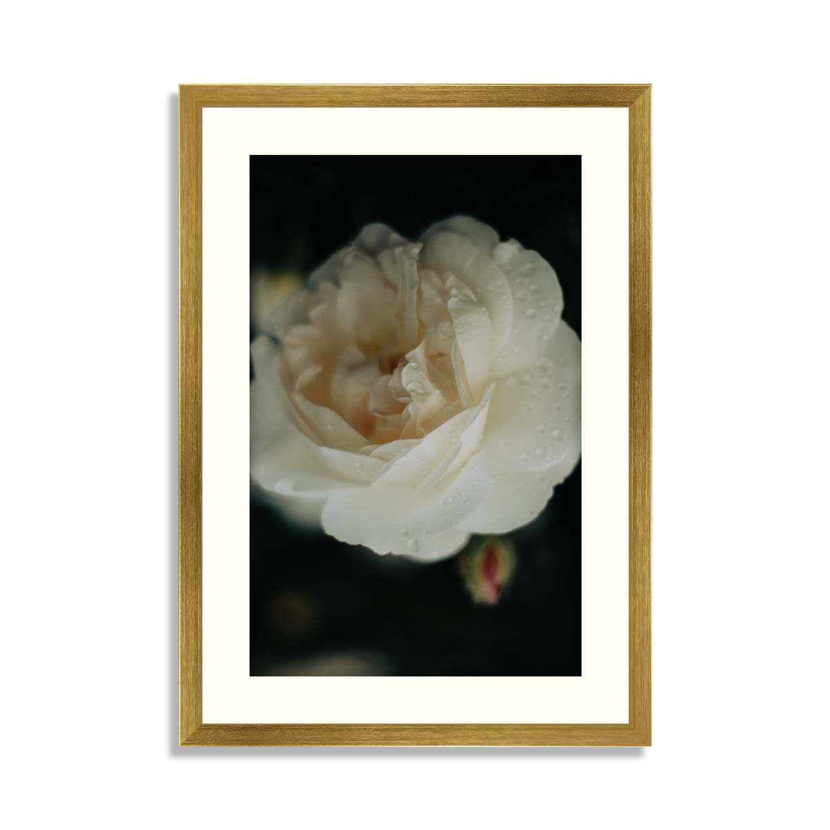 Set of 6 Floral Framed Art 03