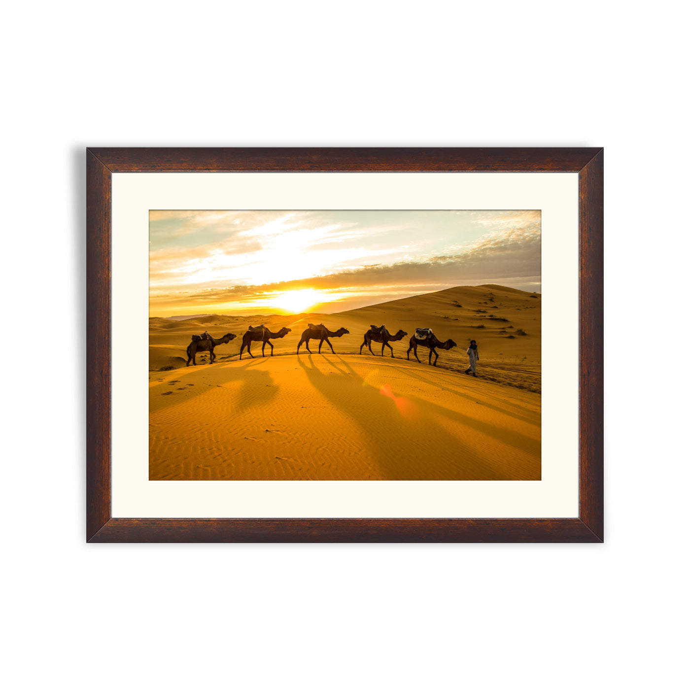 Camels sunset