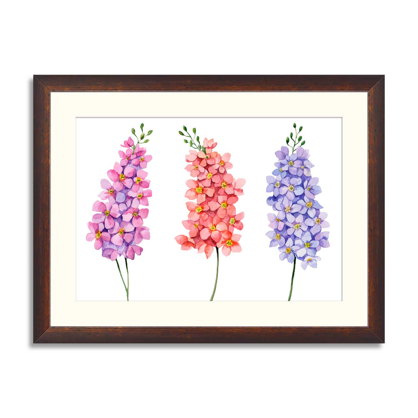 Watercolor set of delphiniums