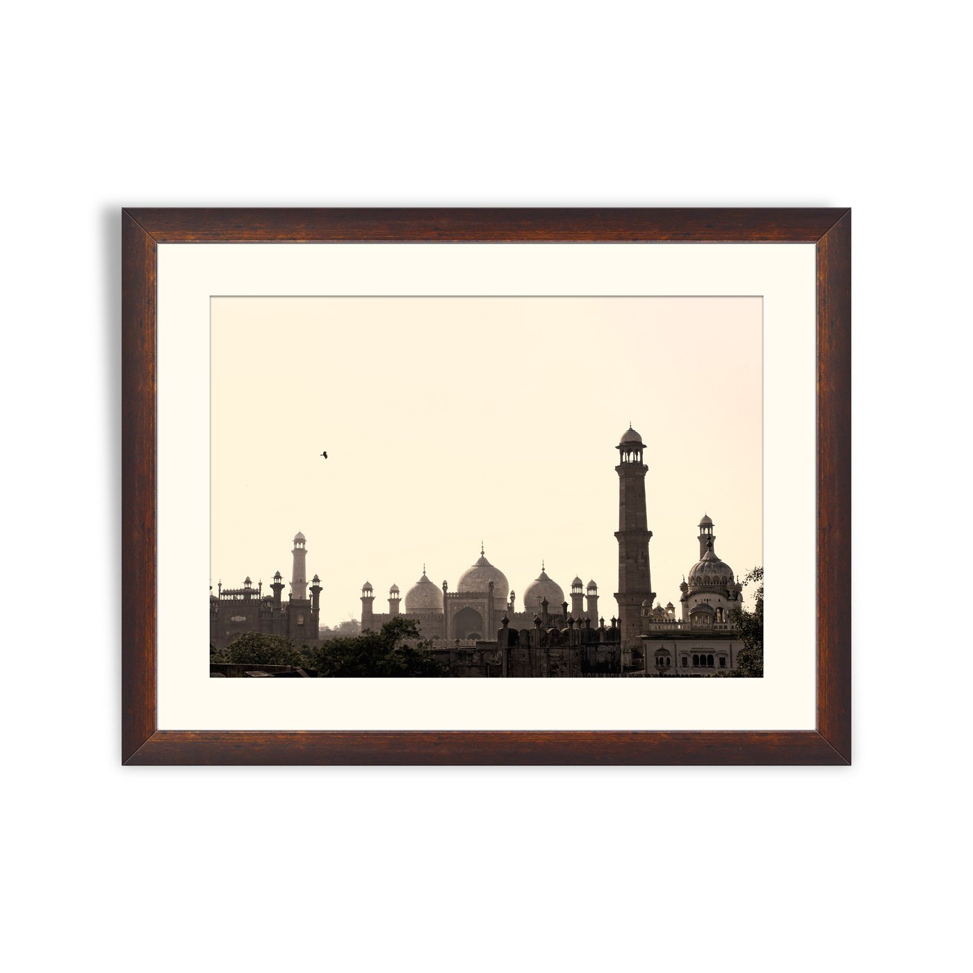 Skyline of Lahore old city scape with Badshahi Mosque