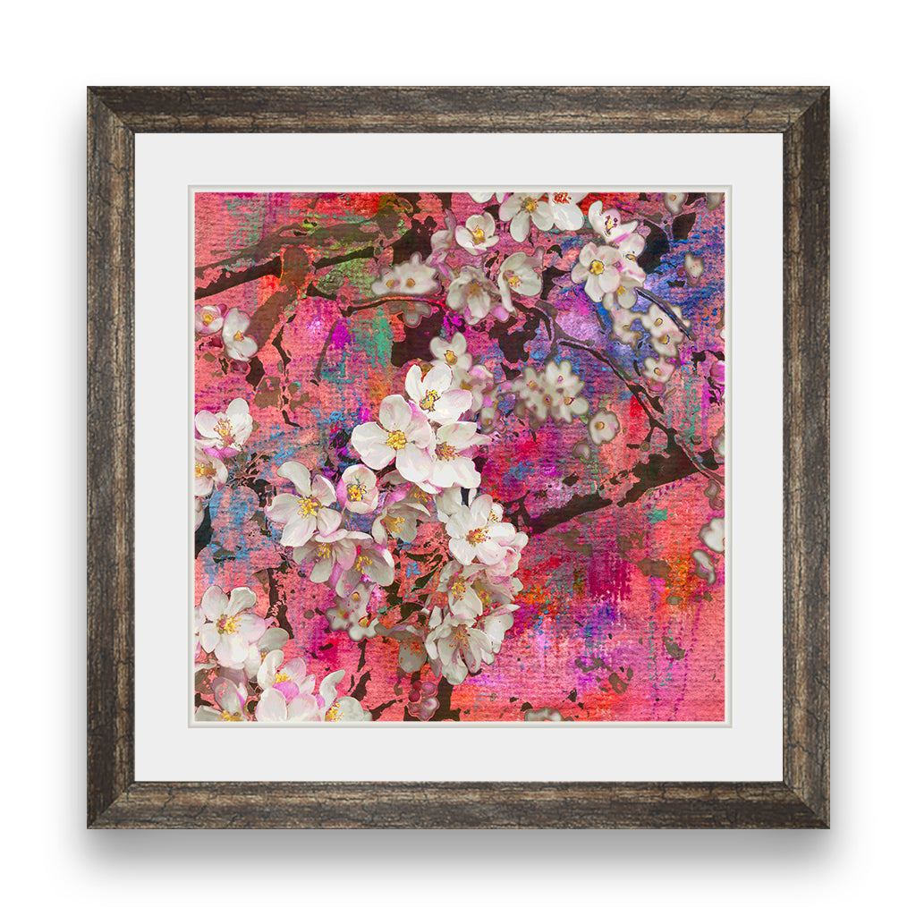 Blossoming apple tree