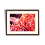 Flower sea living coral and reef color under deep dark water of sea ocean environment