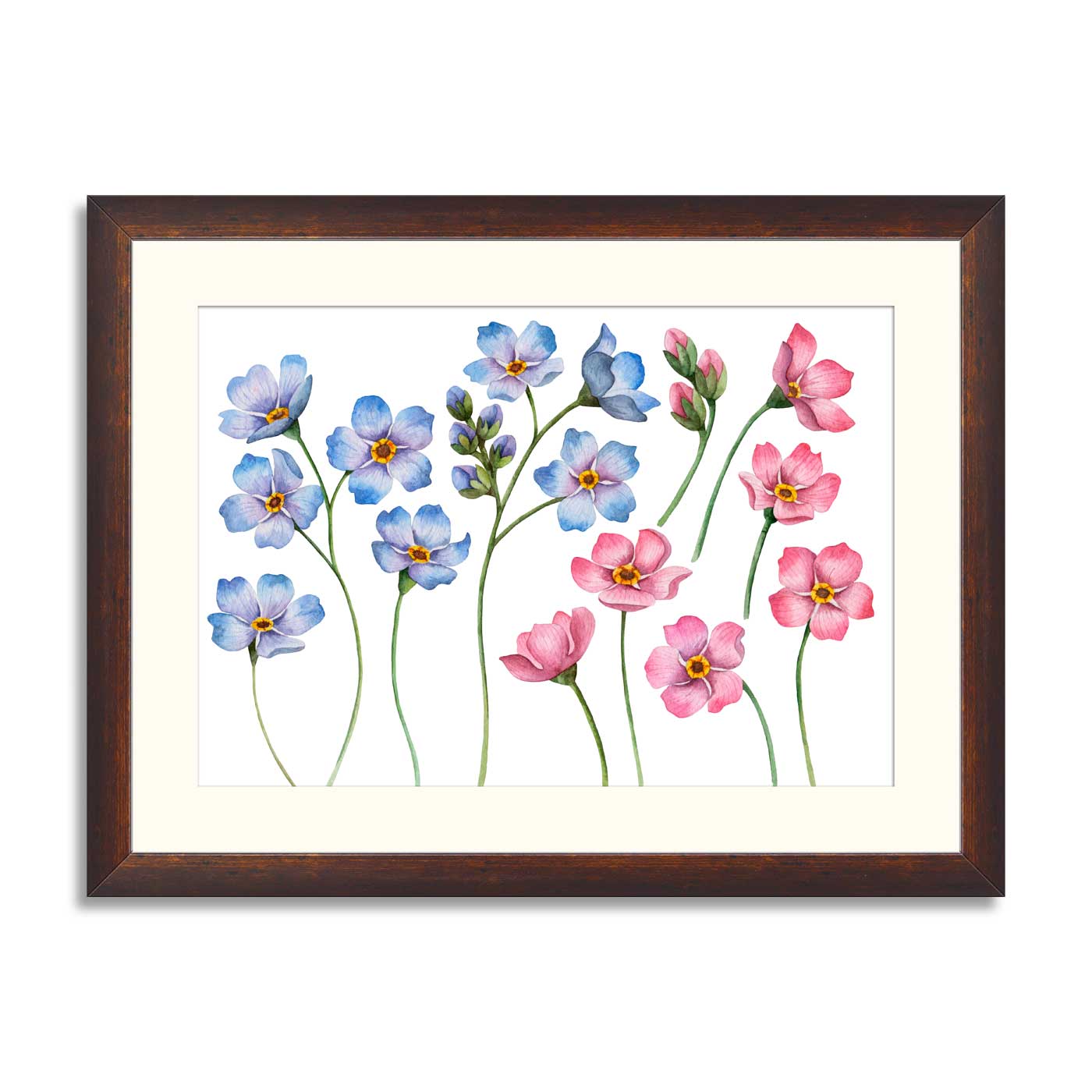 Set of watercolor flowers