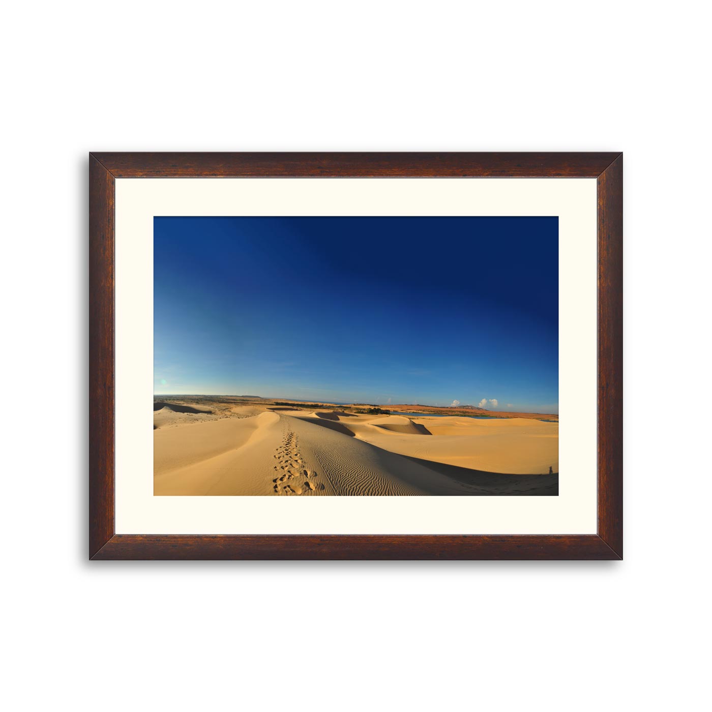 Panorama view of Landscape of Desert in Vietnam