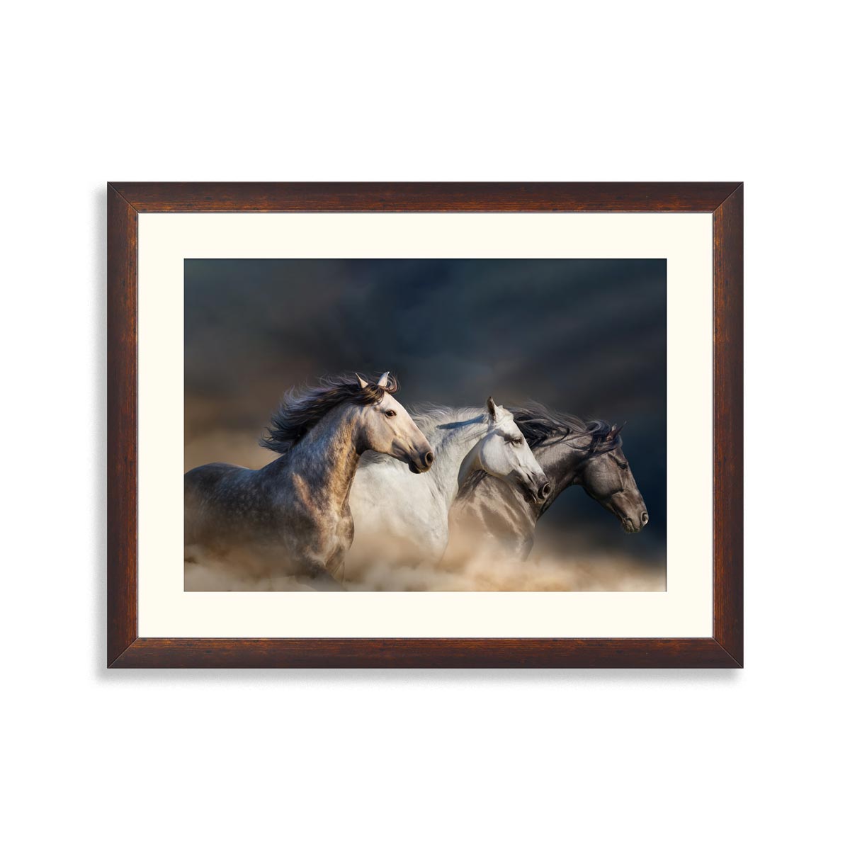 Horses with long mane portrait run gallop in desert dust