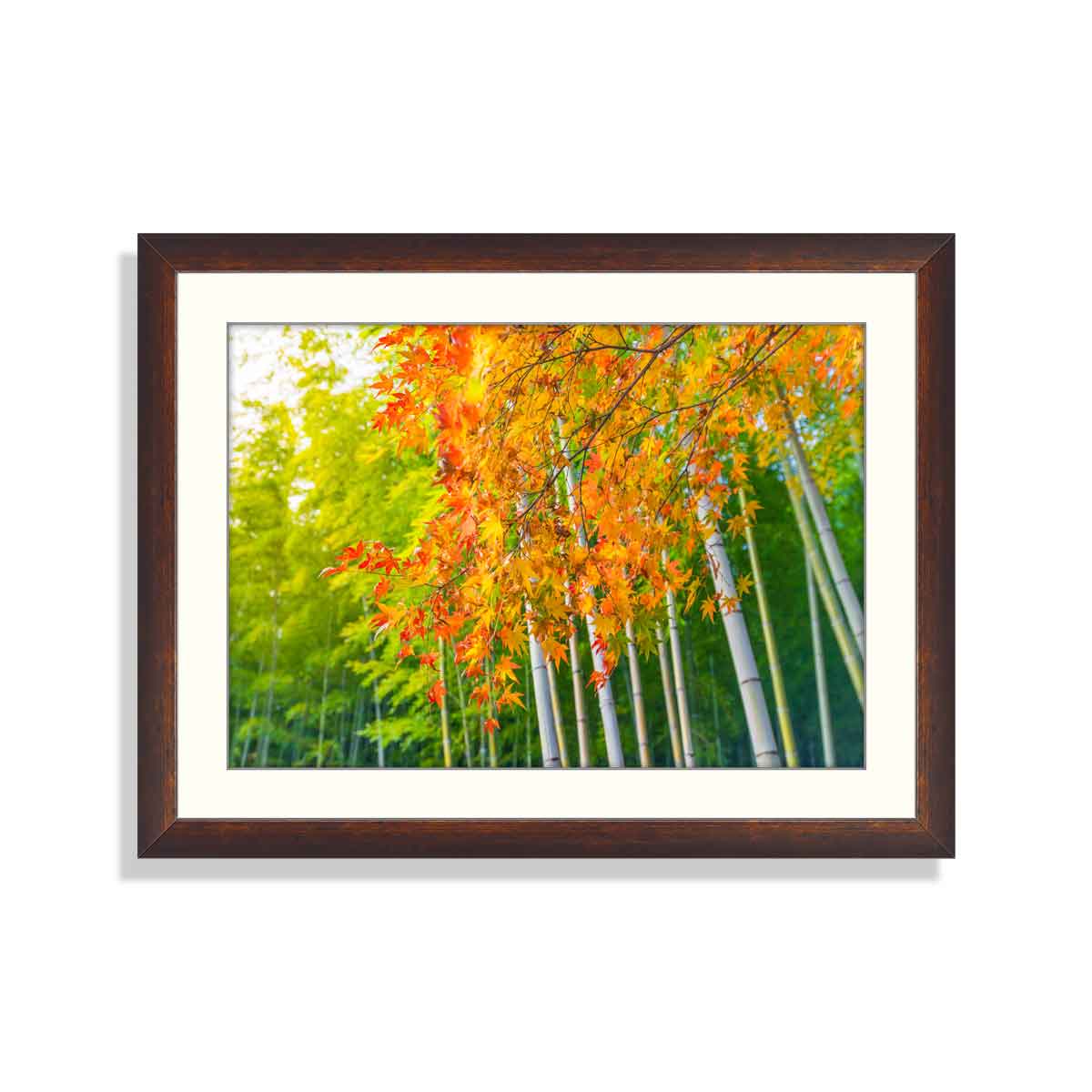 Beautiful Maple Leave with Bamboo Background