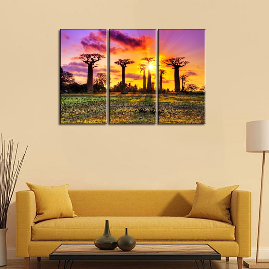 3 Panel Canvas set of Baobab trees at sunset at the avenue of the baobabs