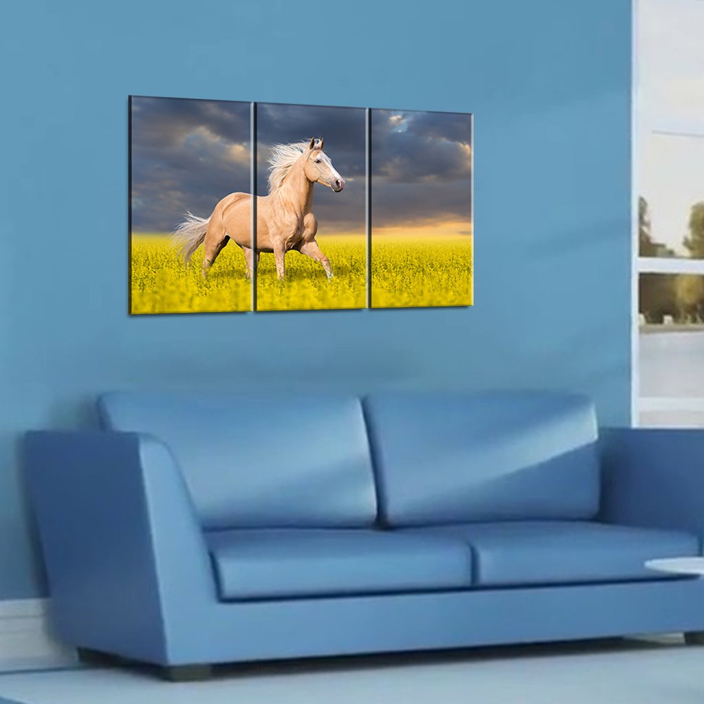 Canvas SetsPower full Golden Horse