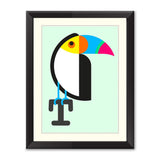 Toucan