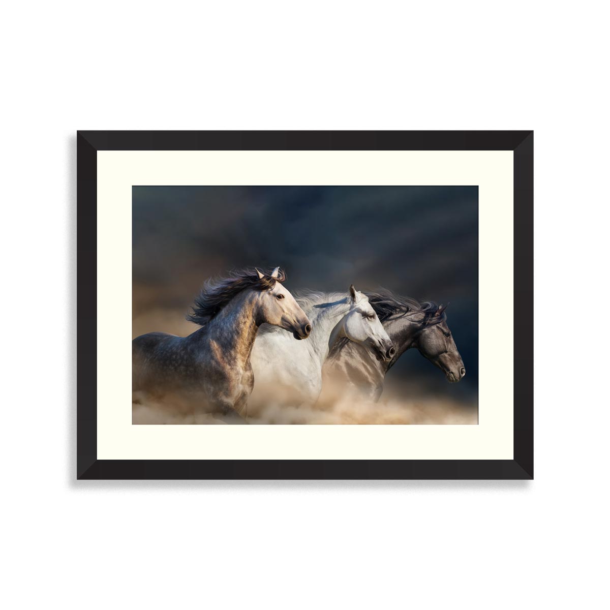 Horses with long mane portrait run gallop in desert dust