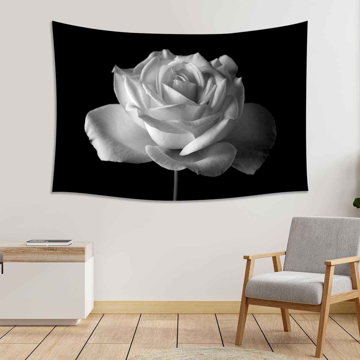 Black-and-white-rose-in-bloom-over-black-background