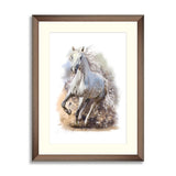 White horse runs watercolor painting