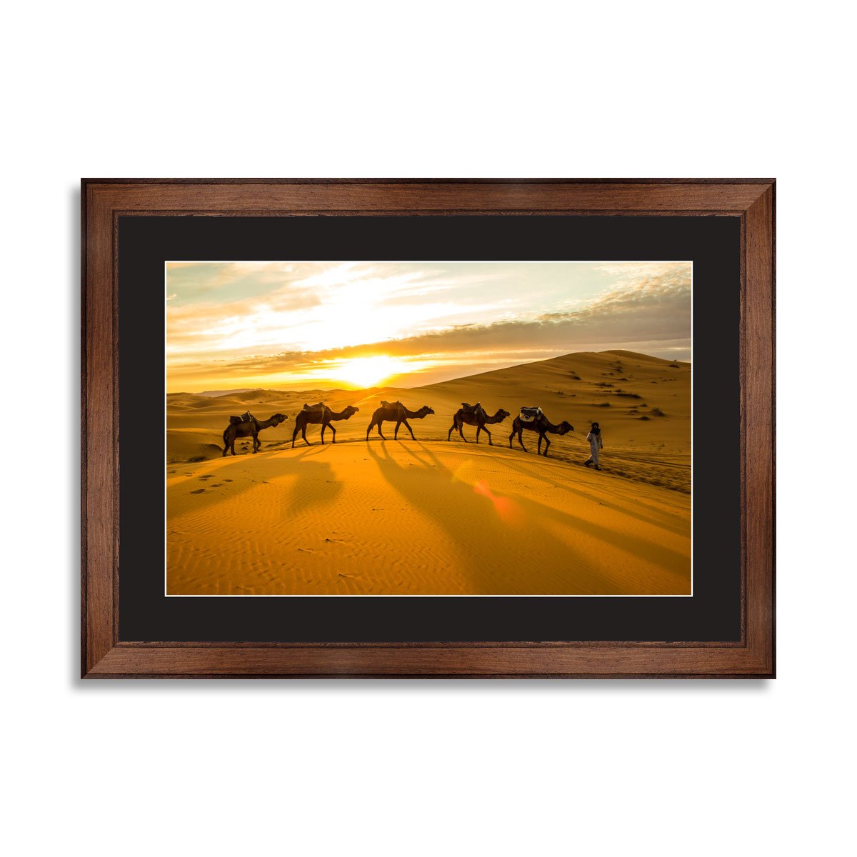 Camels sunset