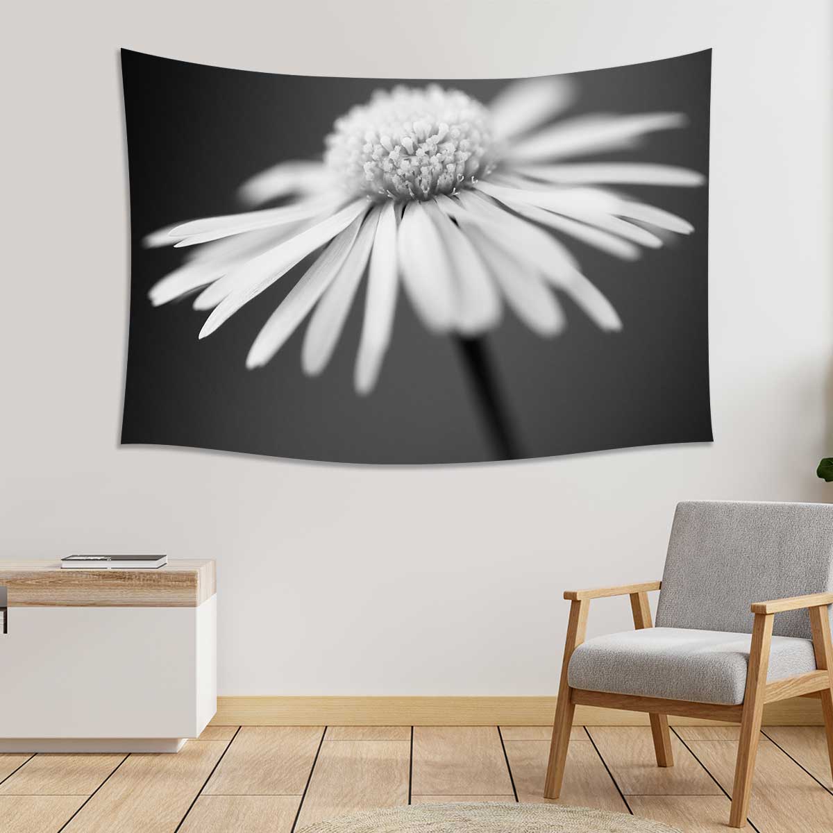 Close-up-of-white-daisy-on-artistic-background-with-soft-focus