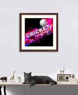 Cricket ball