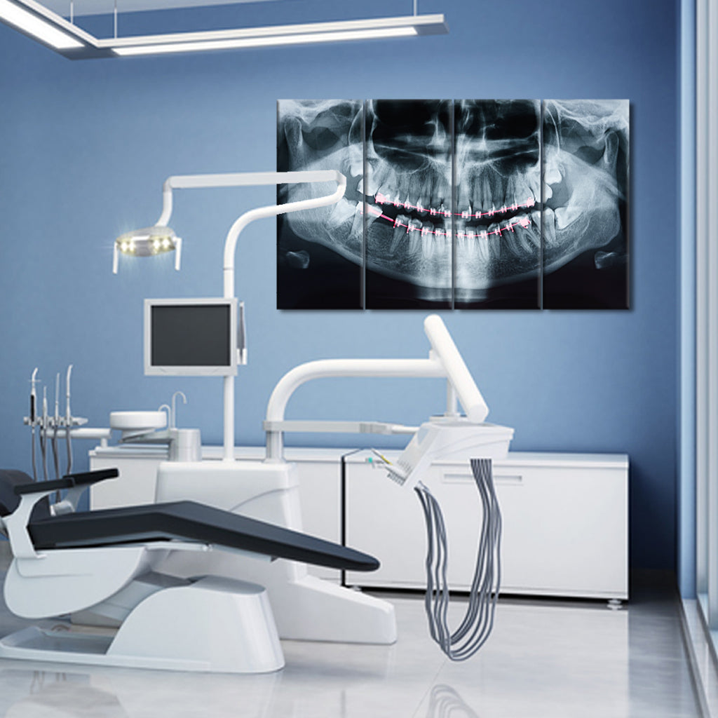 Dental X-Ray Photo Of Human Skull And Teeth With Braces