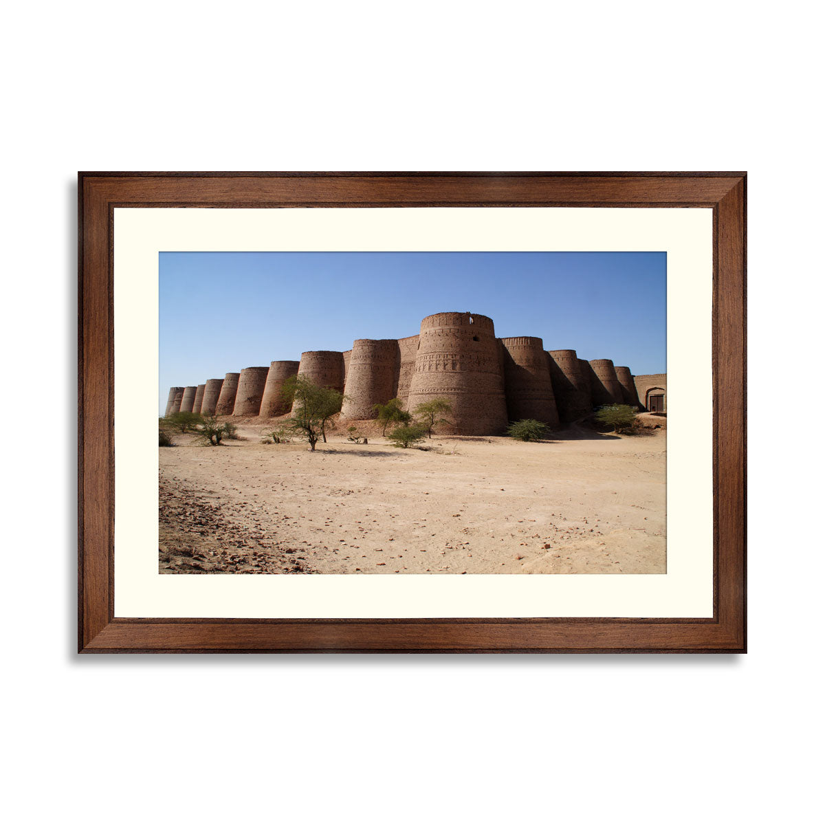 Derawar Fort