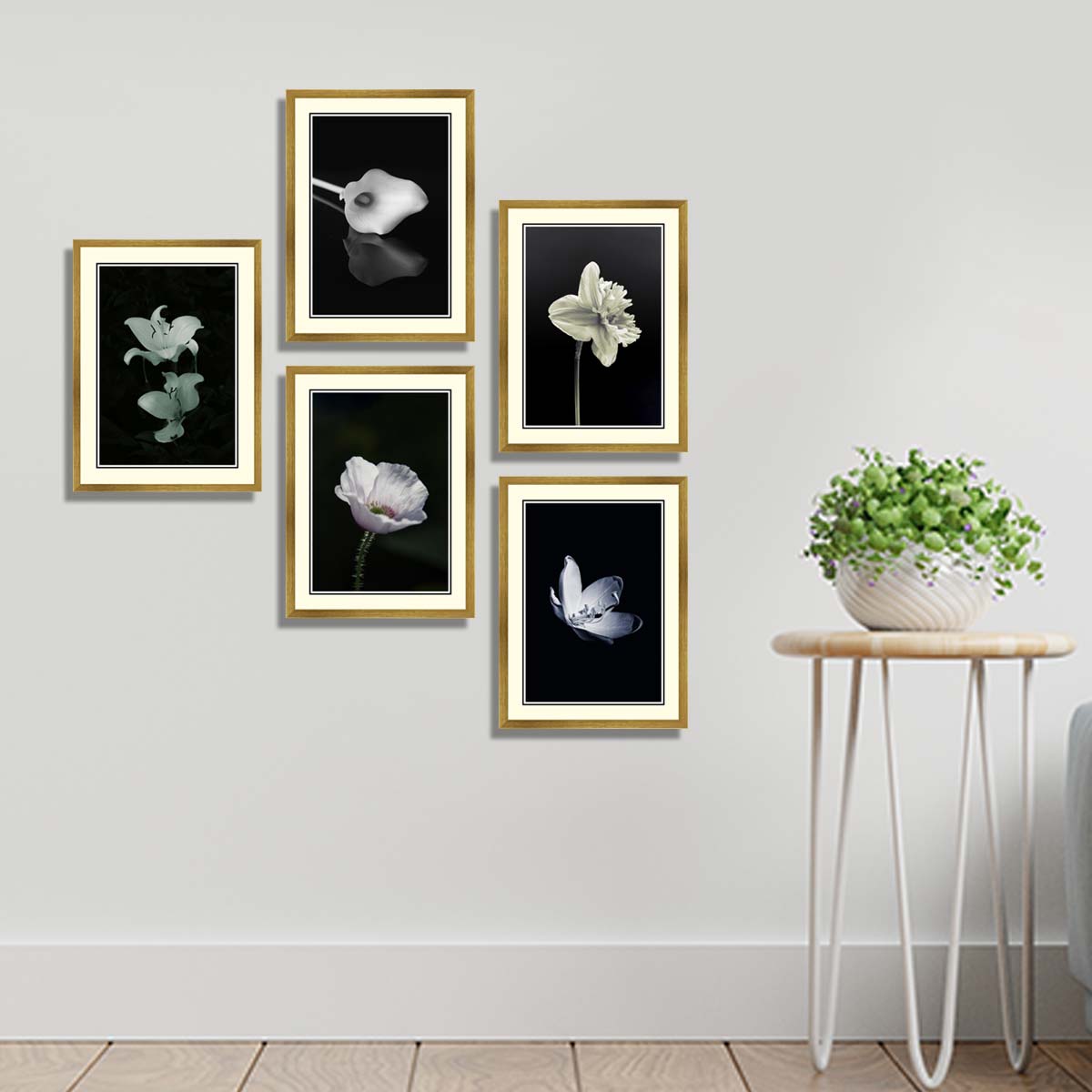 Set of 5 Floral wall art set