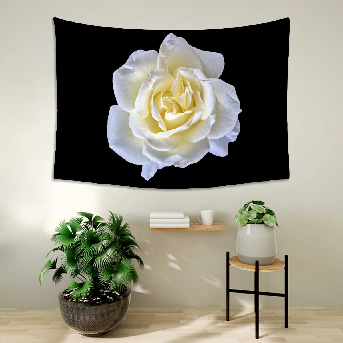 Fresh-yellow-white-rose-blossom-with-detailed-texture-on-black-background