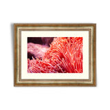 Flower sea living coral and reef color under deep dark water of sea ocean environment