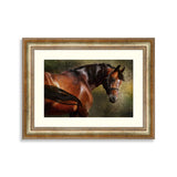 The Thoroughbred classical portrait. Simulation in old painting style