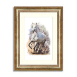 White horse runs watercolor painting