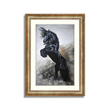 Portrait of Black Spanish Horse