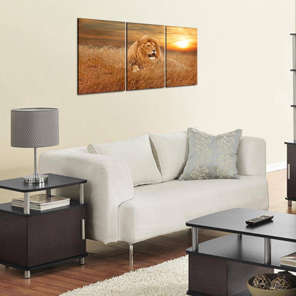 3 Panel Canvas set of Lion