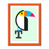 Toucan