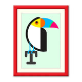 Toucan