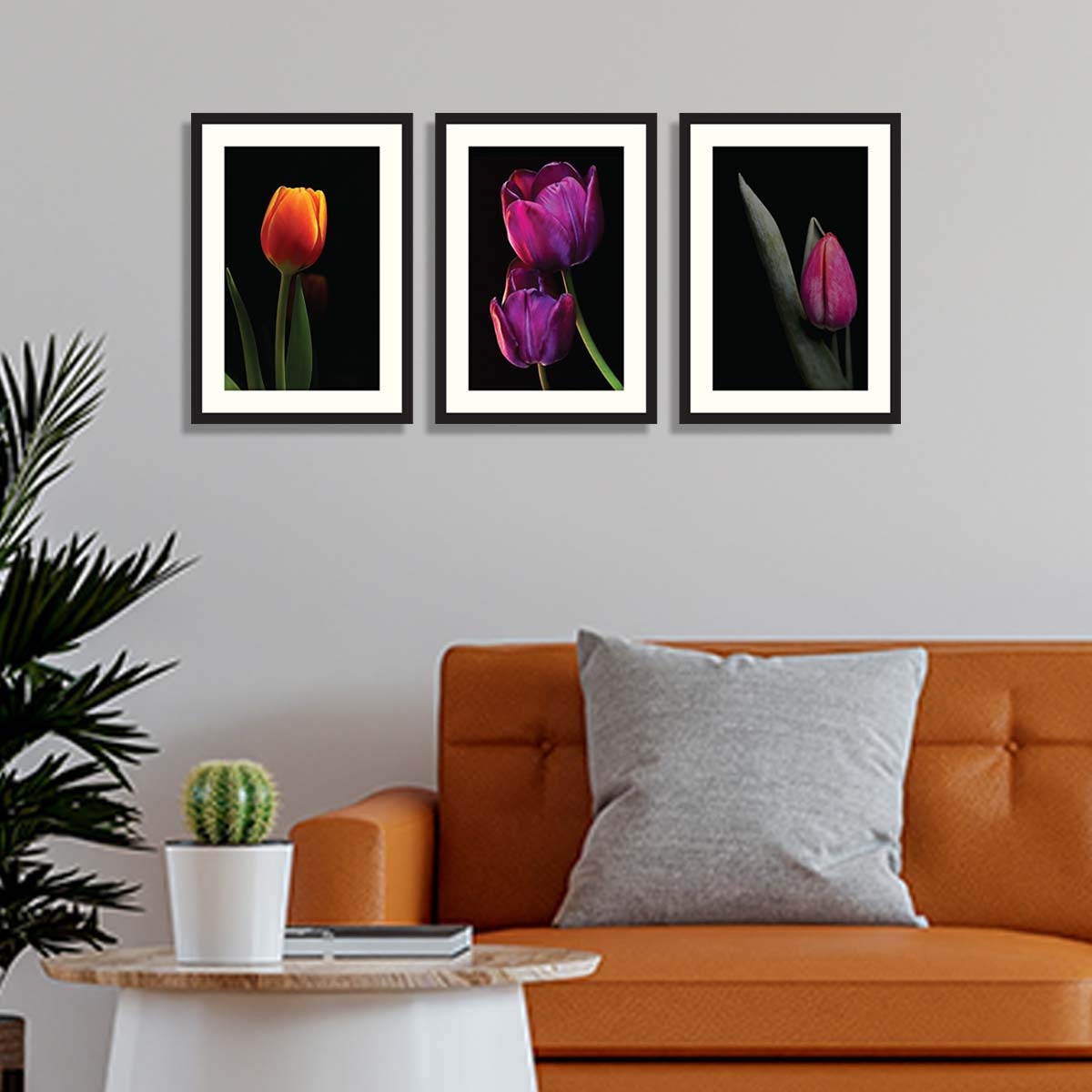 Set of 3 Tulip Framed Art