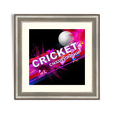 Cricket ball