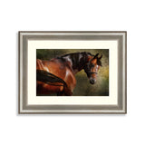 The Thoroughbred classical portrait. Simulation in old painting style