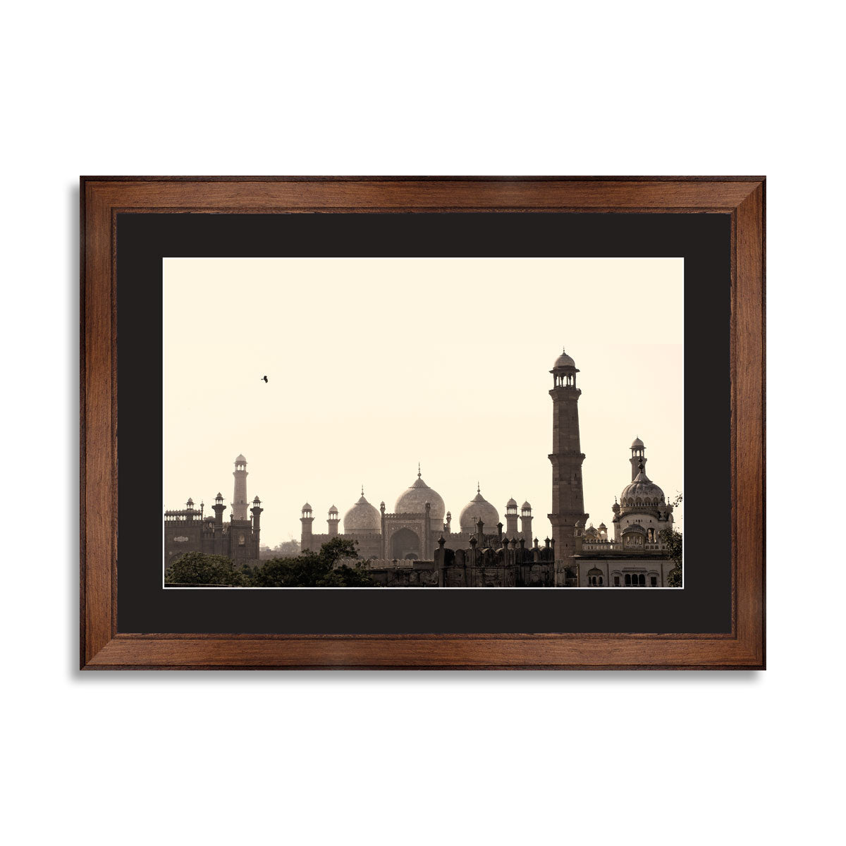 Skyline of Lahore old city scape with Badshahi Mosque