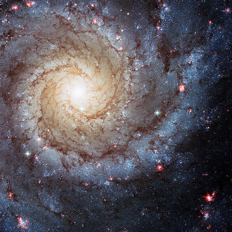 Spiral Galaxy