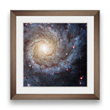 Spiral Galaxy