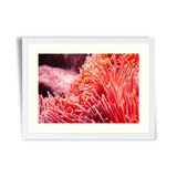 Flower sea living coral and reef color under deep dark water of sea ocean environment