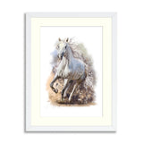 White horse runs watercolor painting