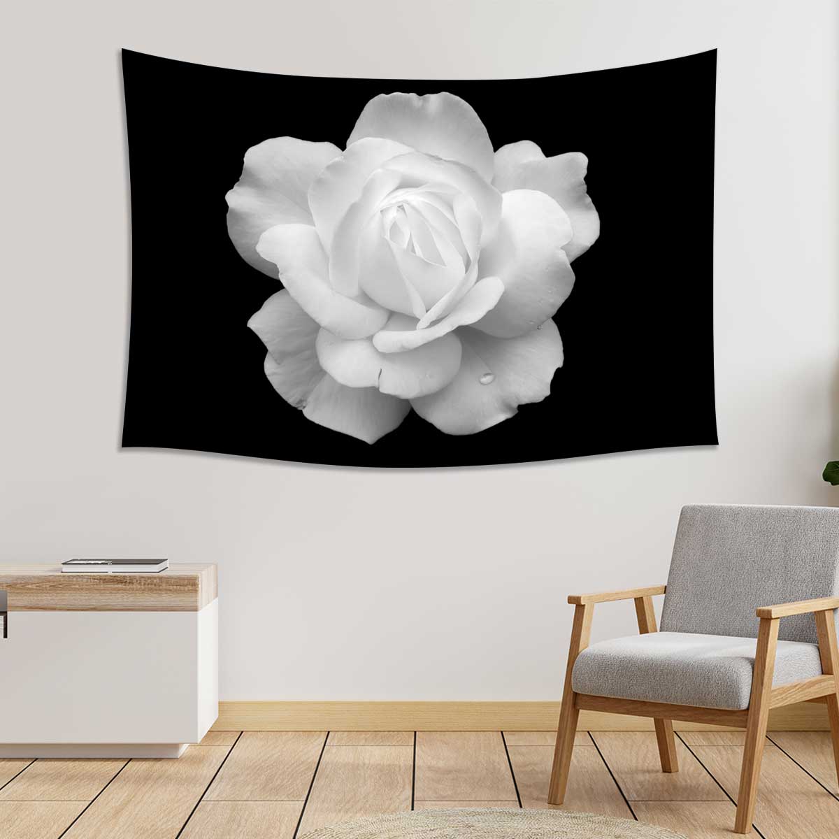 White-Rose-on-a-black-background