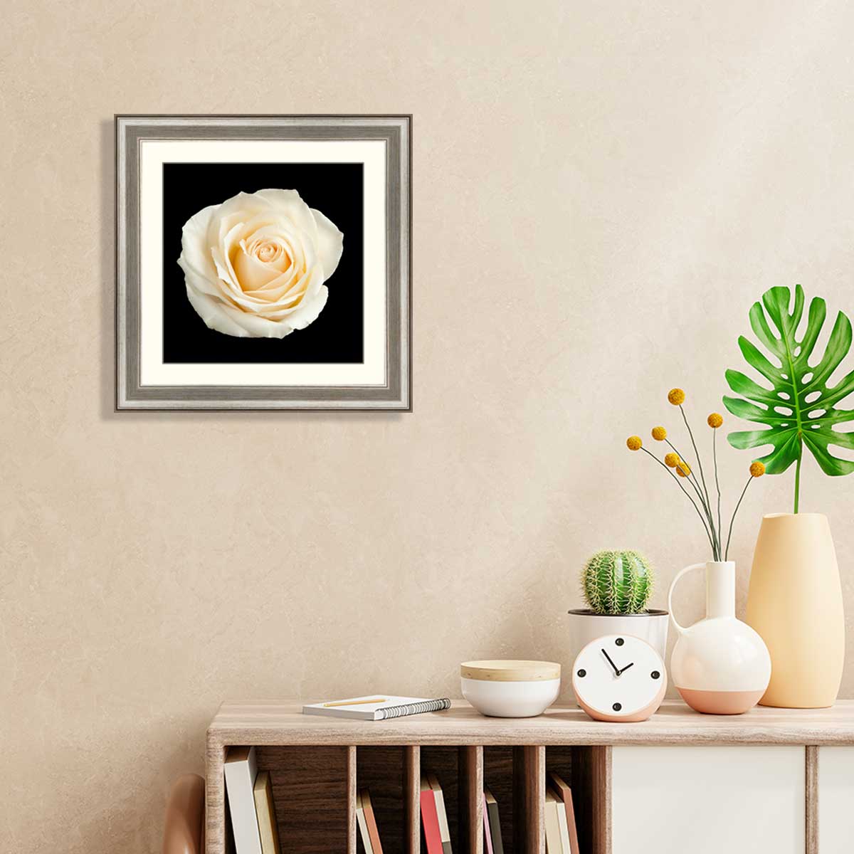 White-rose-isolated-on-a-black-background