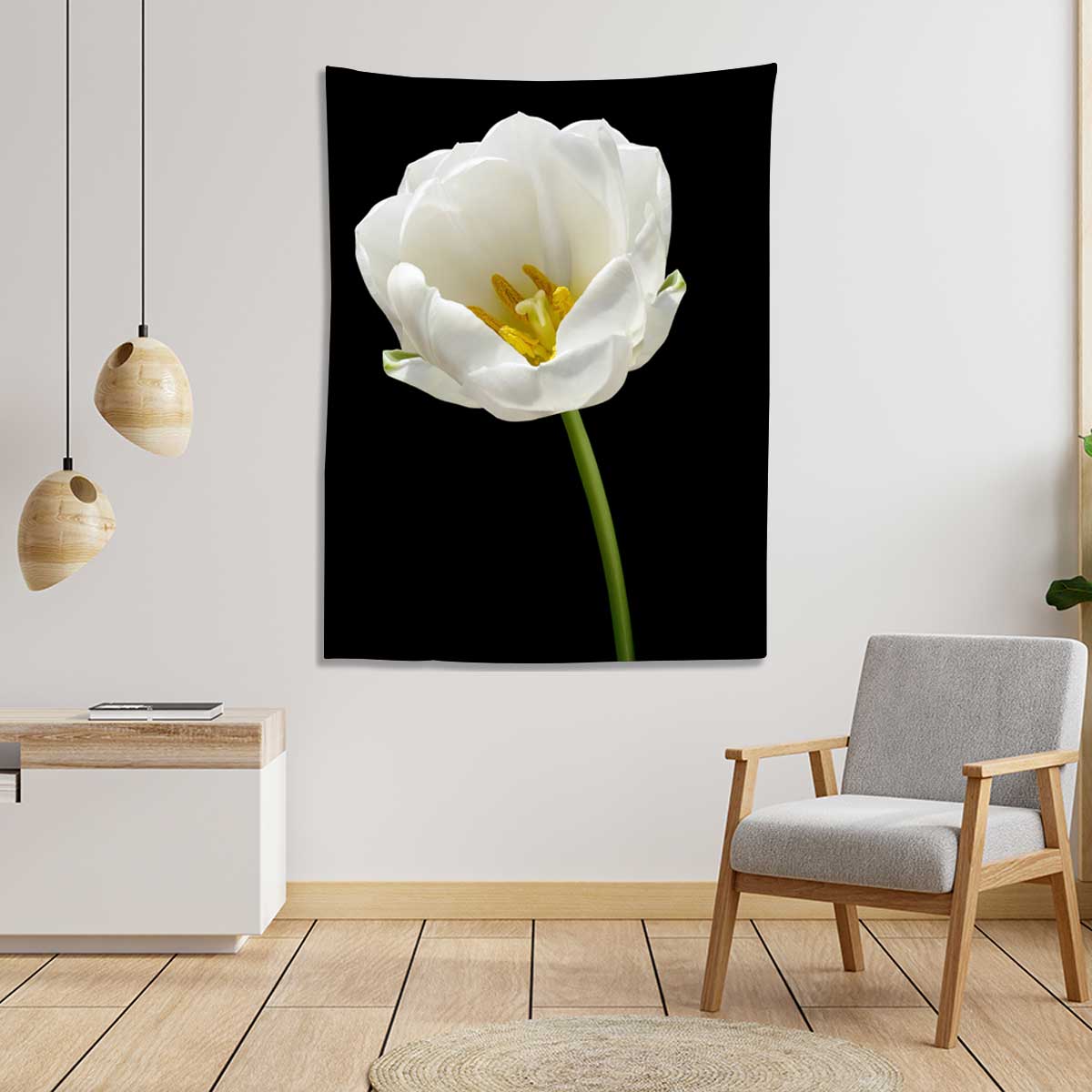 White tulip flower on the black isolated background