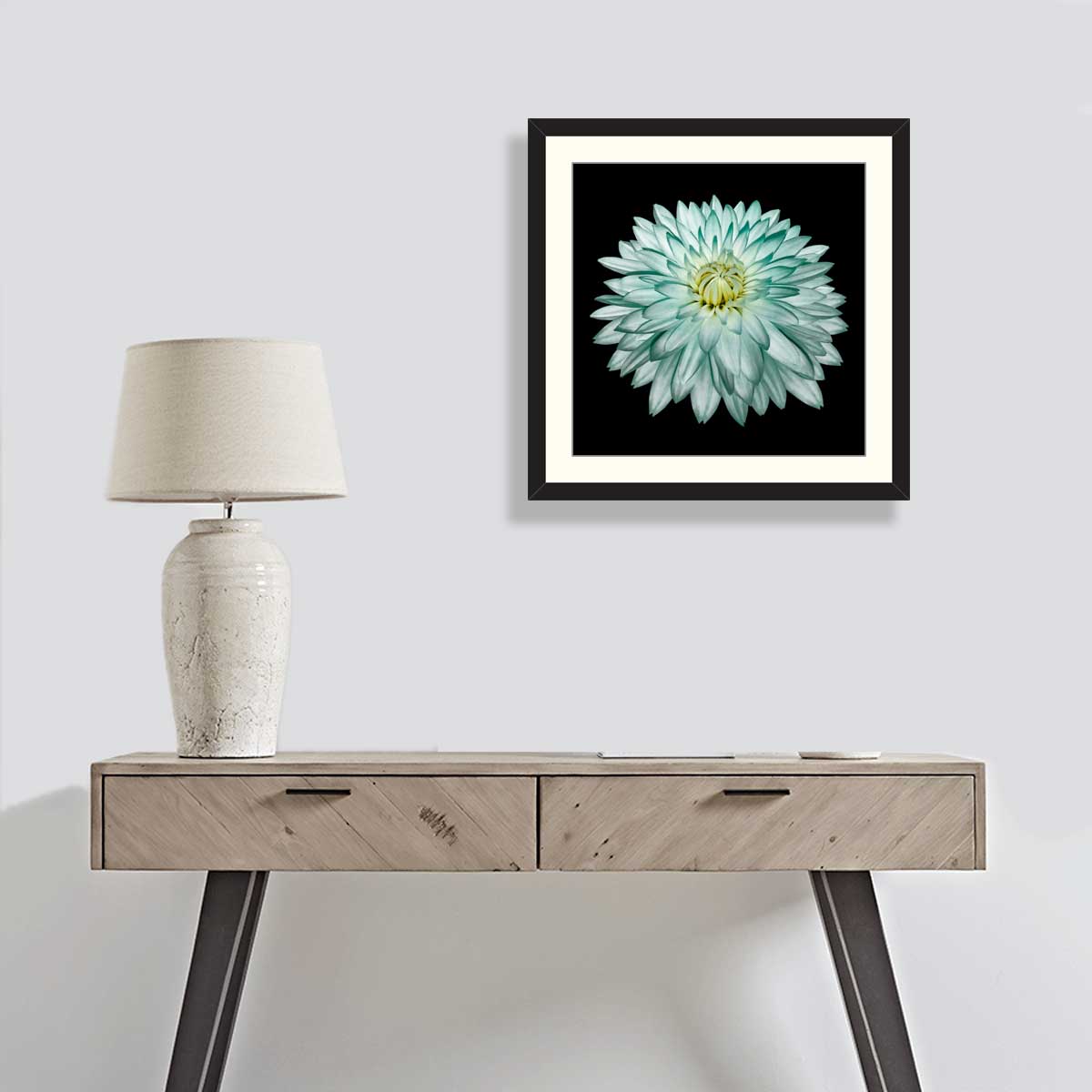 White-turquoise-flower-dahlia-on-black-isolated-background-with-clipping-path-no-shadows-