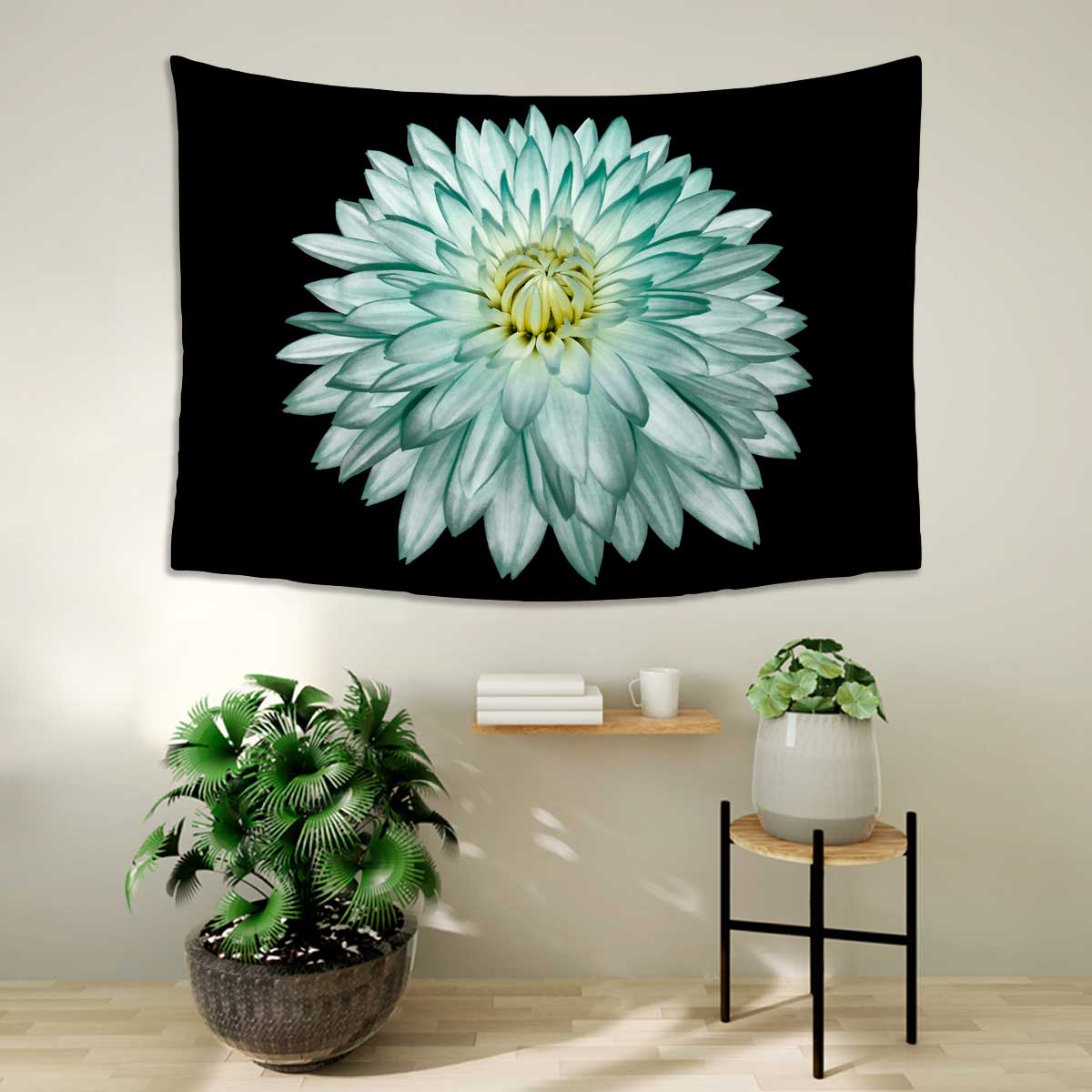 White-turquoise-flower-dahlia-on-black-isolated-background